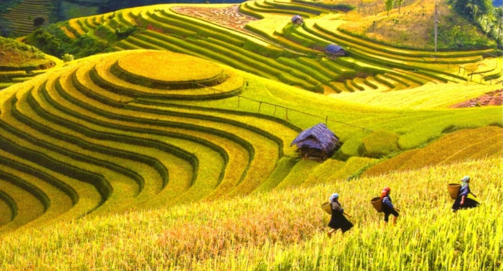 Phượt thủ yêu cung đường Hoàng Su Phì nên ghé