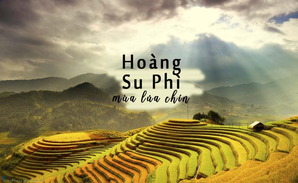 Sắc thu gọi mời Hoàng Su Phì tháng 10 bình yên