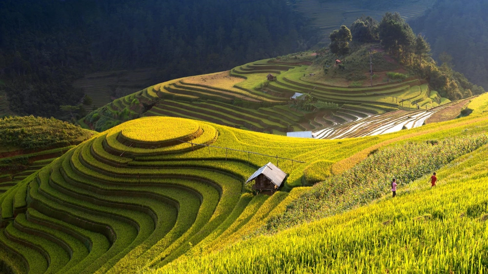 Rủ nhau khám phá Hoàng Su Phì cực chill