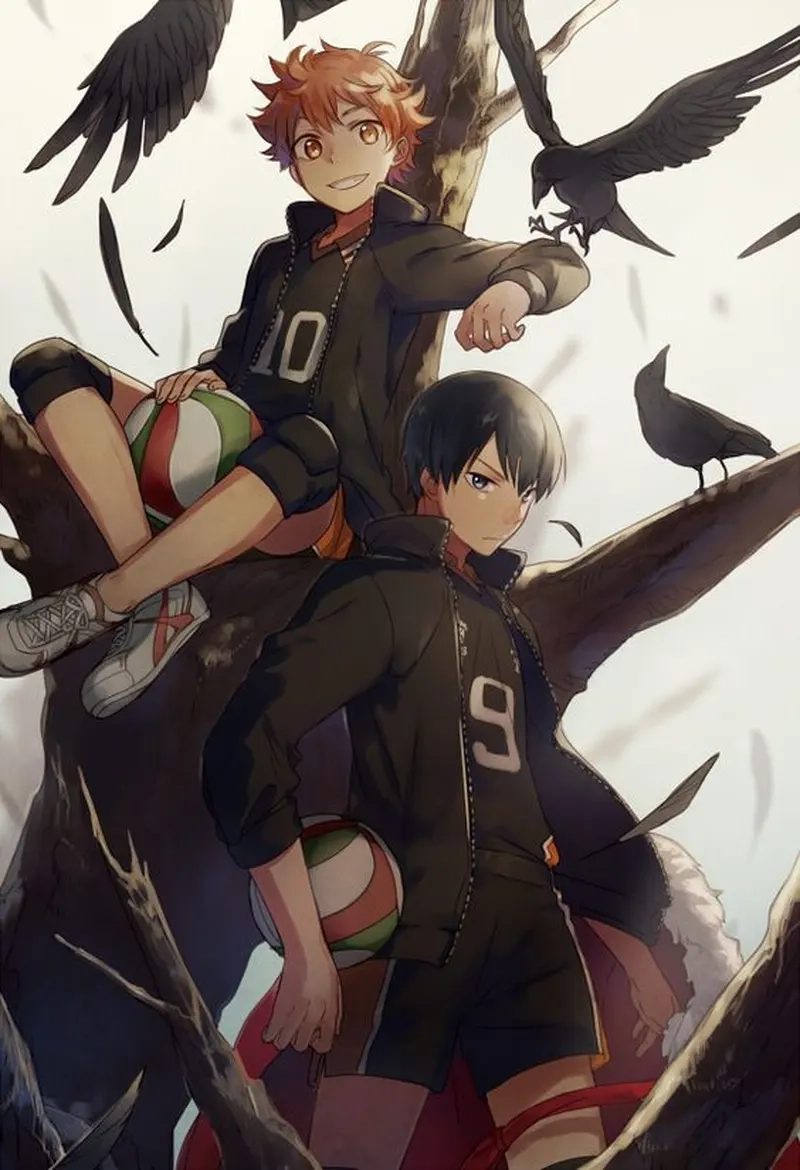 Haikyuu Hinata and Kageyama là một trong những câu chuyện được yêu thích nhất