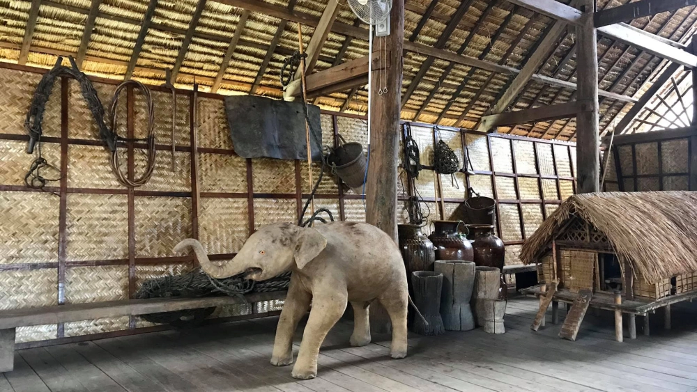 Tìm hiểu ngay buôn đôn có gì thú vị