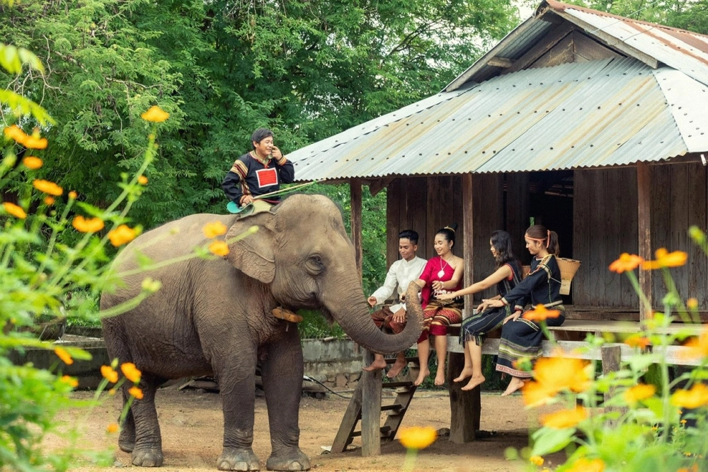 Ngắm nhìn những hình ảnh buôn đôn đẹp nao lòng