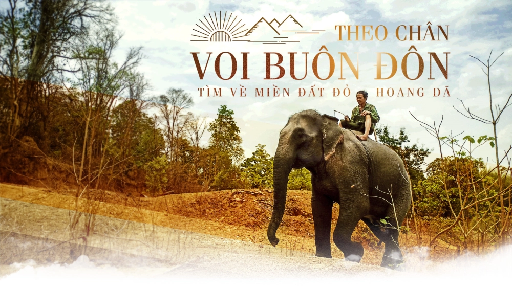 Cùng nhau khám phá đàn voi buôn đôn huyền thoại