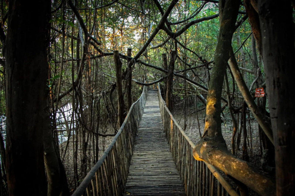 Tham quan ngay khu du lịch cầu treo buôn đôn siêu hot