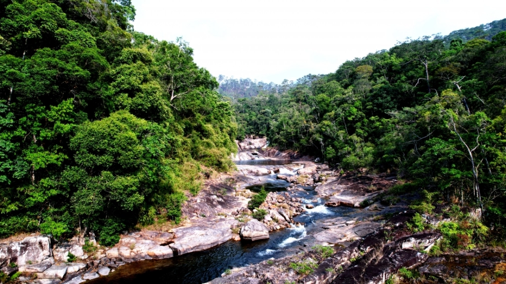 Khám phá vẻ đẹp của chư yang sin national park rộng lớn