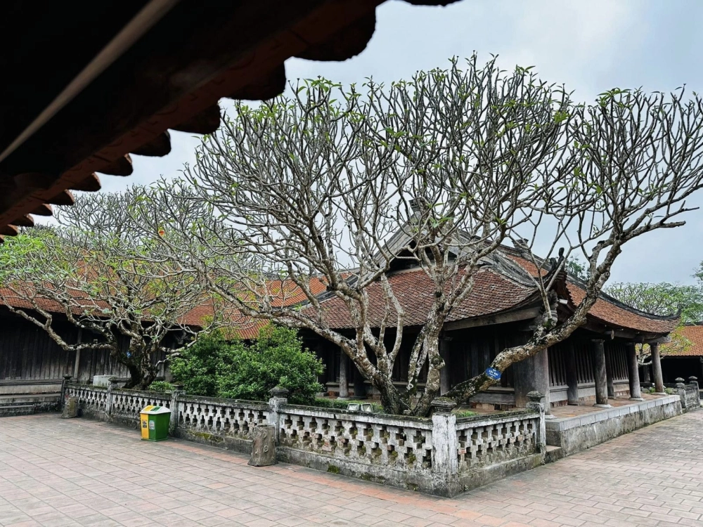 Khám phá truyền thuyết về chùa keo lâu đời