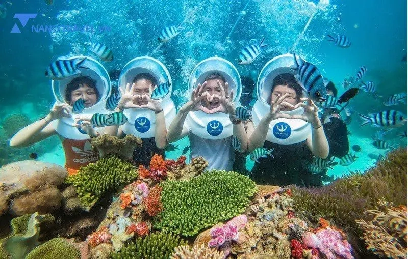 Ngắm nhìn vẻ đẹp tuyệt vời khi ngắm san hô cù lao chàm