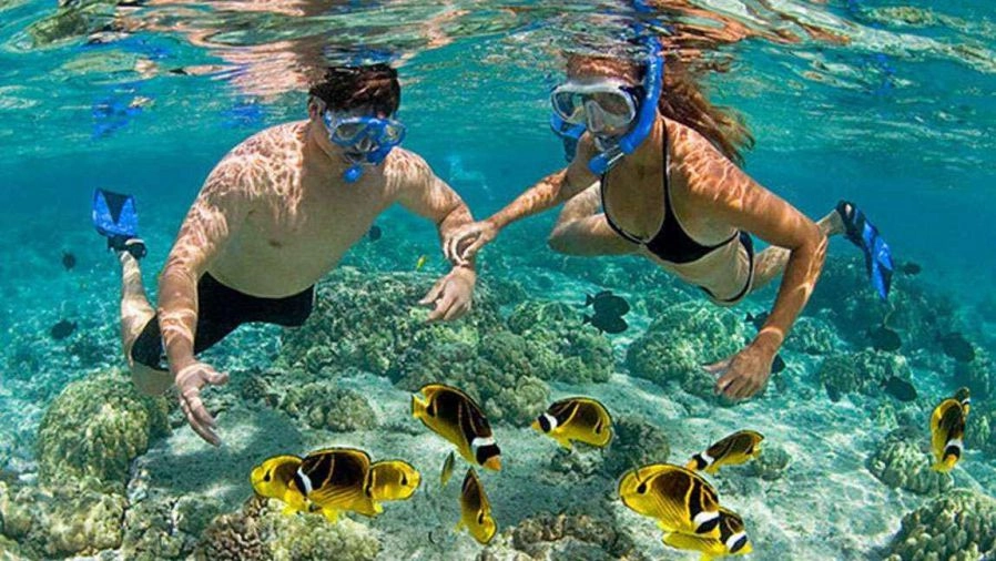 Trải nghiệm thú vị với du lịch cù lao chàm mơ màng