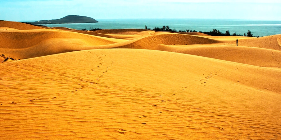 Khám phá vẻ đẹp tự nhiên của đồi cát bay ở mũi né