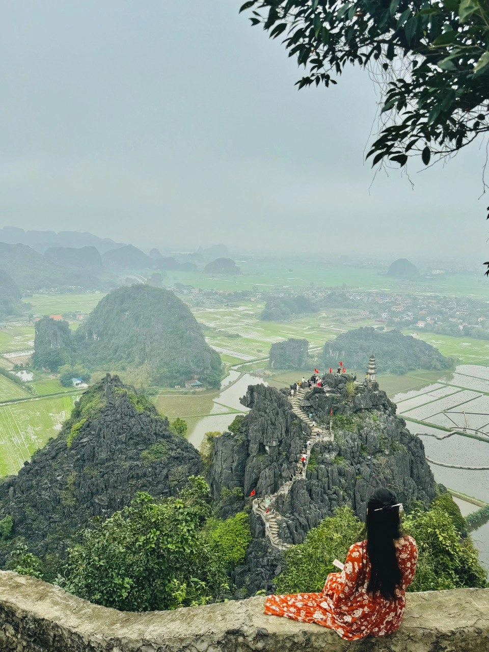 Tìm hiểu giới thiệu về hang múa ninh bình cho chuyến đi