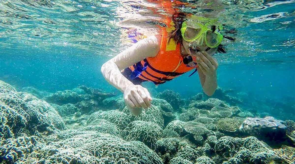Trải nghiệm thú vị khi lặn ngắm san hô ở kỳ co trong suốt