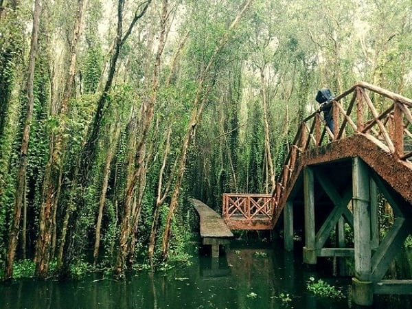 Khám phá khu du lịch làng nổi tân lập long an đầy thú vịv