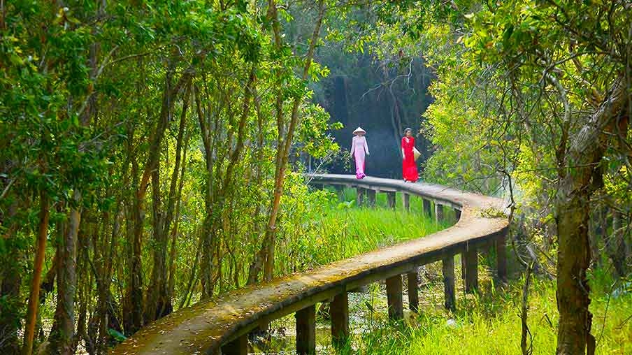 Khám phá vẻ đẹp của làng nổi tân lập long an xanh mát