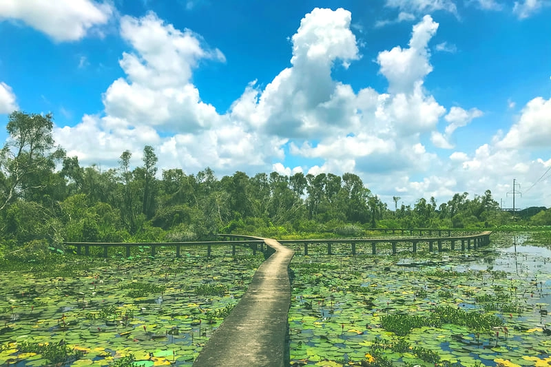 Khám phá làng nổi tân lập tour đầy hấp dẫn