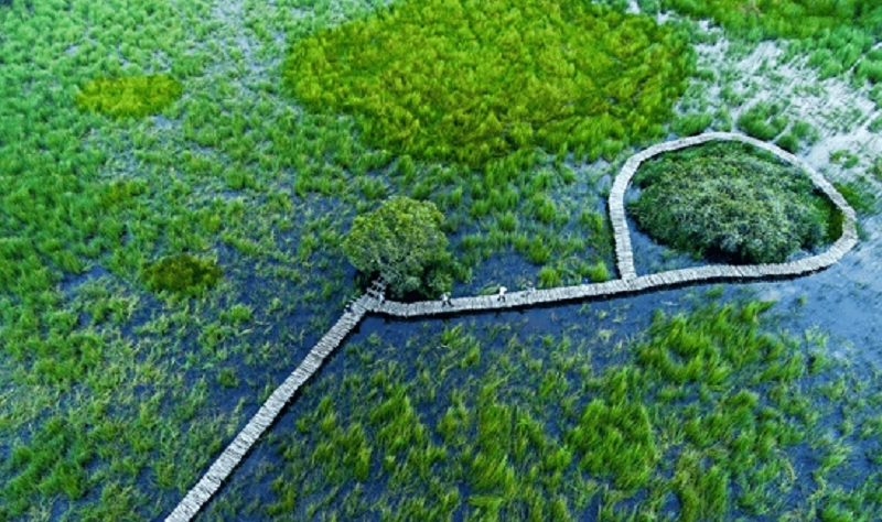 Đặt ngay tour du lịch làng nổi tân lập cho chuyến đi