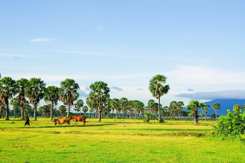 Chiêm ngưỡng hình ảnh núi cấm thơ mộng
