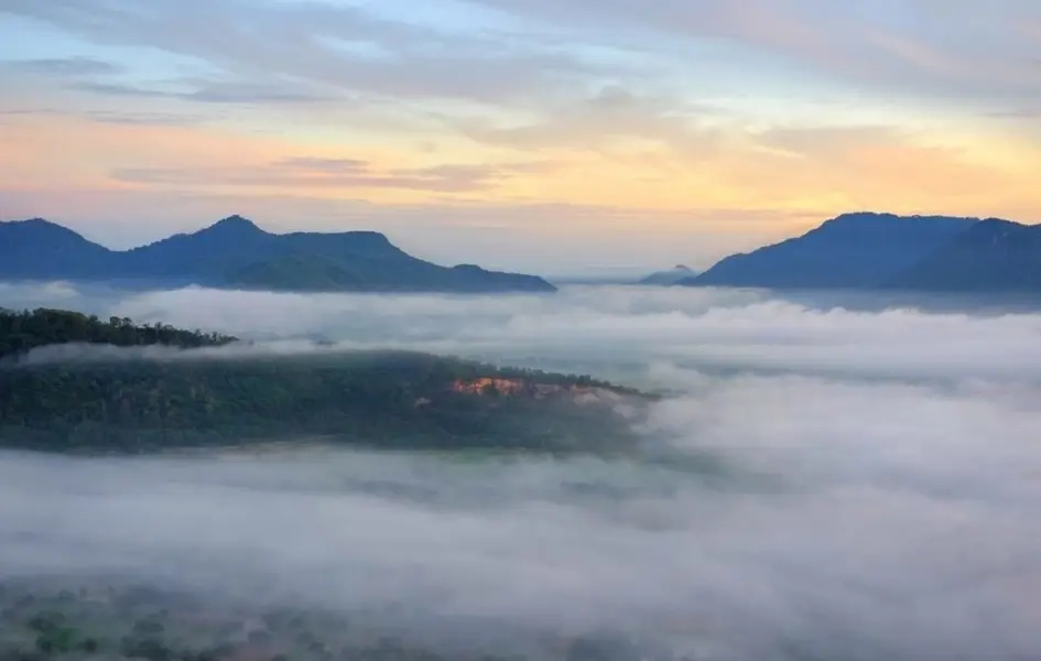 Khám phá thiên nhiên phụng hoàng sơn núi cô tô tuyệt đẹp