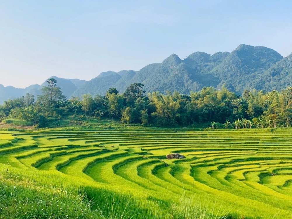 Khám phá pù luông có gì thú vị trong chuyến đi