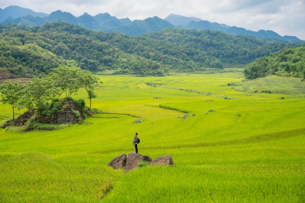 Dự báo thời tiết pù luông 10 ngày tới giúp lên kế hoạch