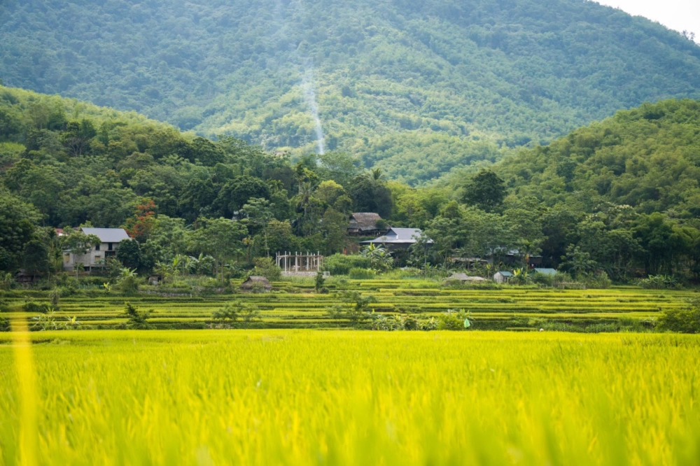 Khám phá ruộng bậc thang pù luông hùng vĩ