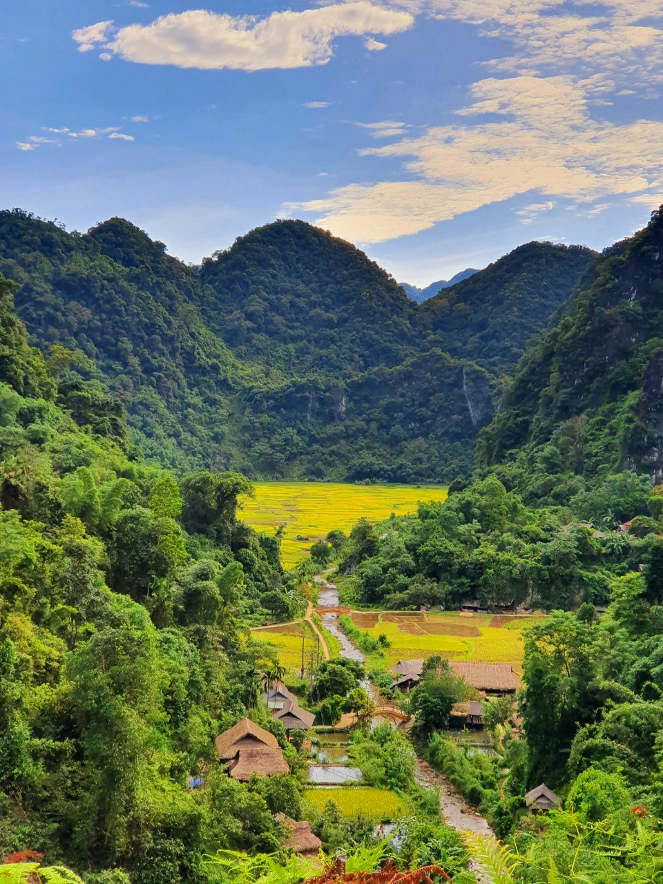 Book tour pù luông để trải nghiệm thiên nhiên