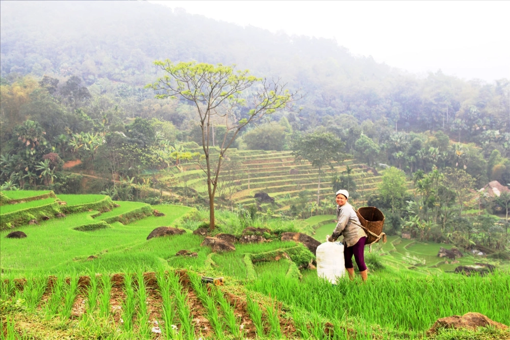 Tìm hiểu đi pù luông mùa nào đẹp để tham quan