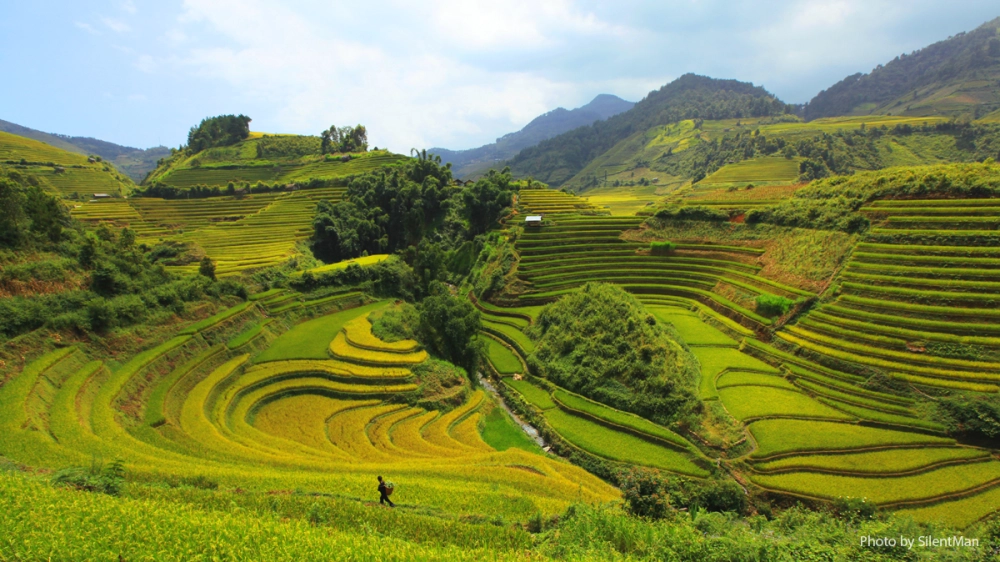 Khám phá pù luông thanh hóa điểm đến không thể bỏ qua