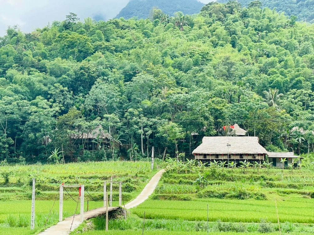 Đọc review pù luông để lên kế hoạch du lịch