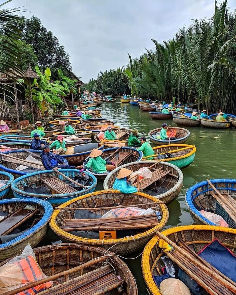 Đọc ngay giới thiệu về rừng dừa bảy mẫu sinh động