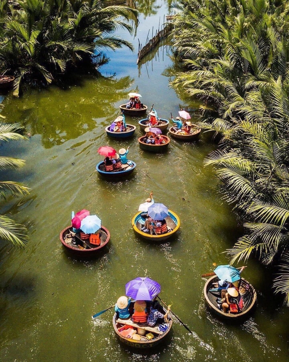 Cập nhật ngay giá tour rừng dừa bảy mẫu từ các đơn vị