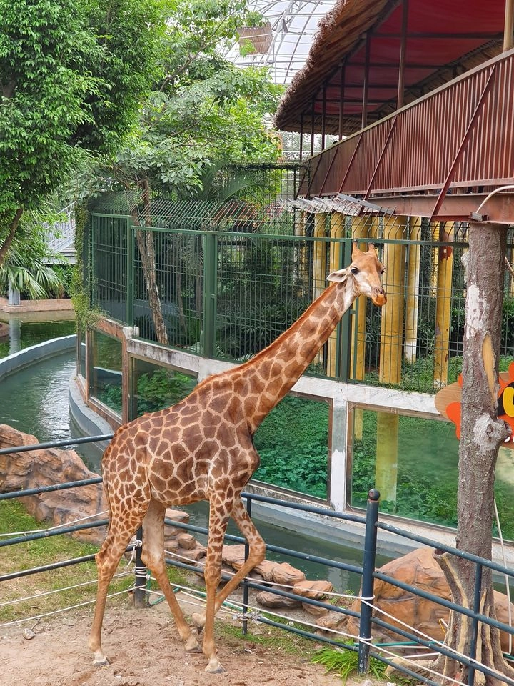 Lưu ý giờ mở cửa thiên đường bảo sơn trước khi đi