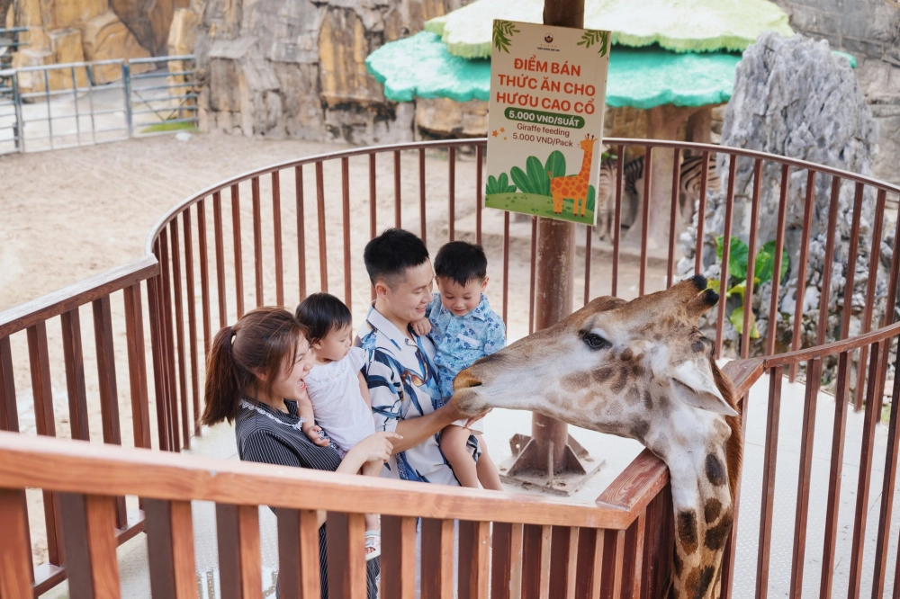 Chiêm ngưỡng hình ảnh thiên đường bảo sơn lung linh