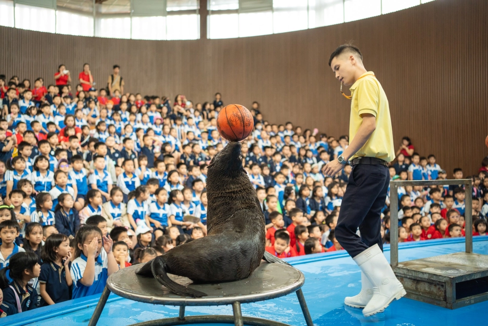Cuối tuần đi chơi thiên đường bảo sơn giải trí
