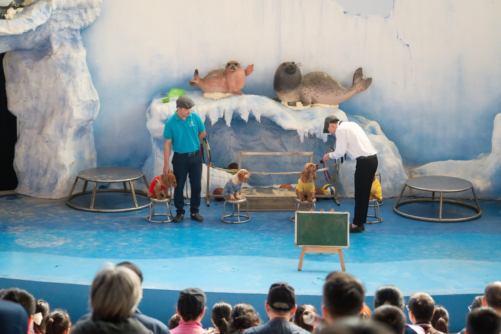 Trải nghiệm khu vui chơi thiên đường bảo sơn hấp dẫn