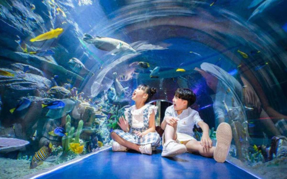 Giá cực tốt viện hải dương học nha trang giá vé 2023 bạn cần biết