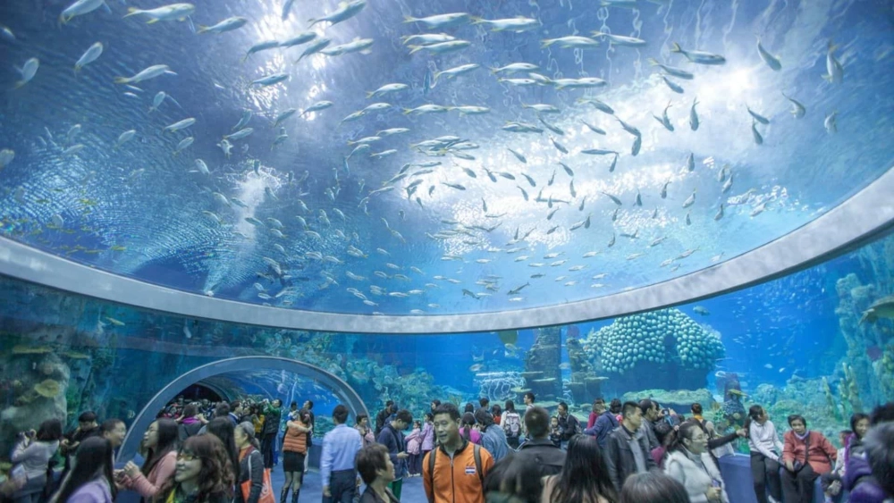 Cập nhật chi tiết viện hải dương học nha trang giá vé mới nhất