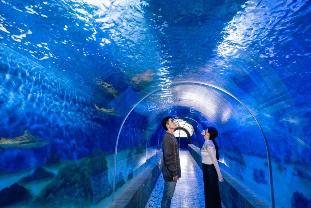 Bí mật chưa kể tại viện hải dương học nha trang có gì