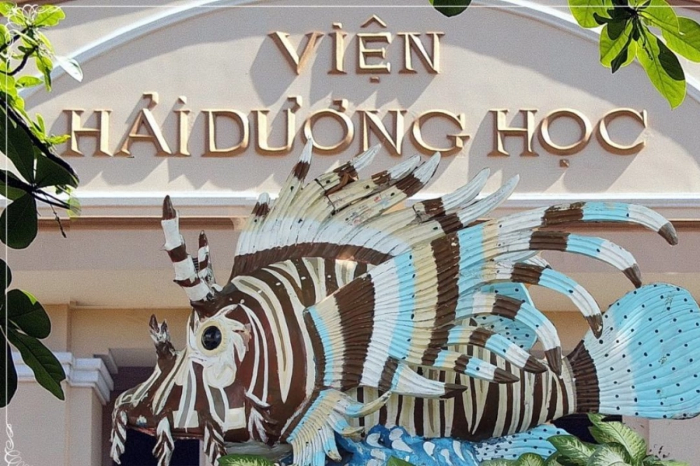 Nhanh tay săn vé viện hải dương học nha trang giá ưu đãi