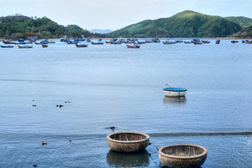 Tìm kiếm vịnh xuân đài ở nước ta dễ dàng