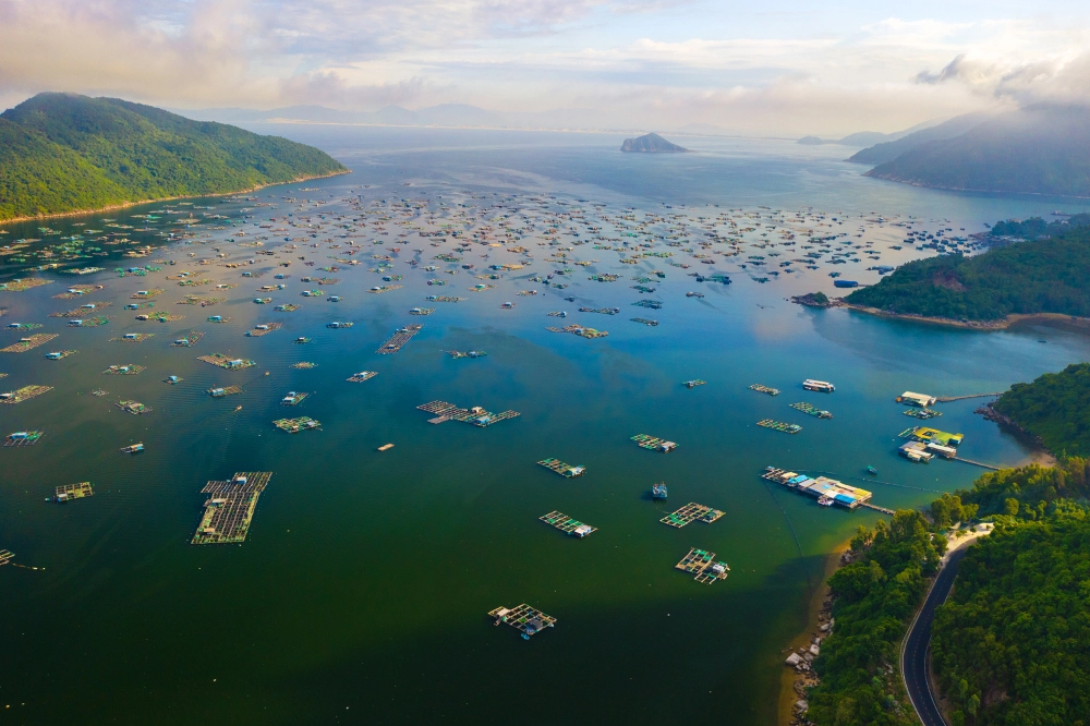 Khám phá Đôi nét lịch sử về Vũng Rô hào hùng