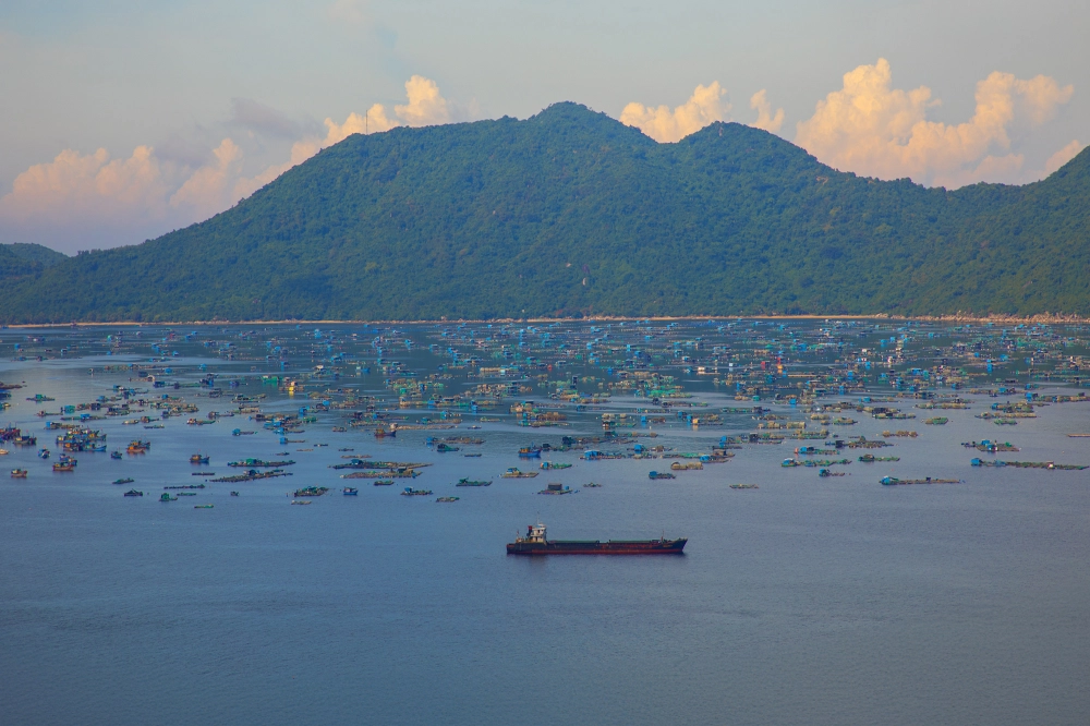 Bỏ túi ngay bí kíp du lịch vũng rô cực chill