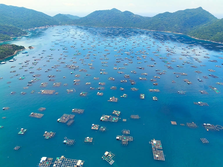 Vẻ đẹp hoang sơ của vịnh vũng rô hút hồn du khách