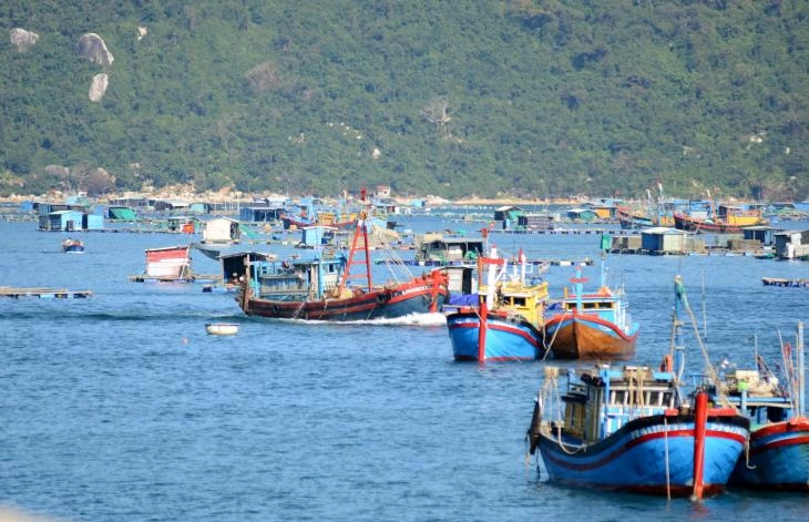 Đáp án cho câu hỏi vũng rô thuộc tỉnh nào ngay đây