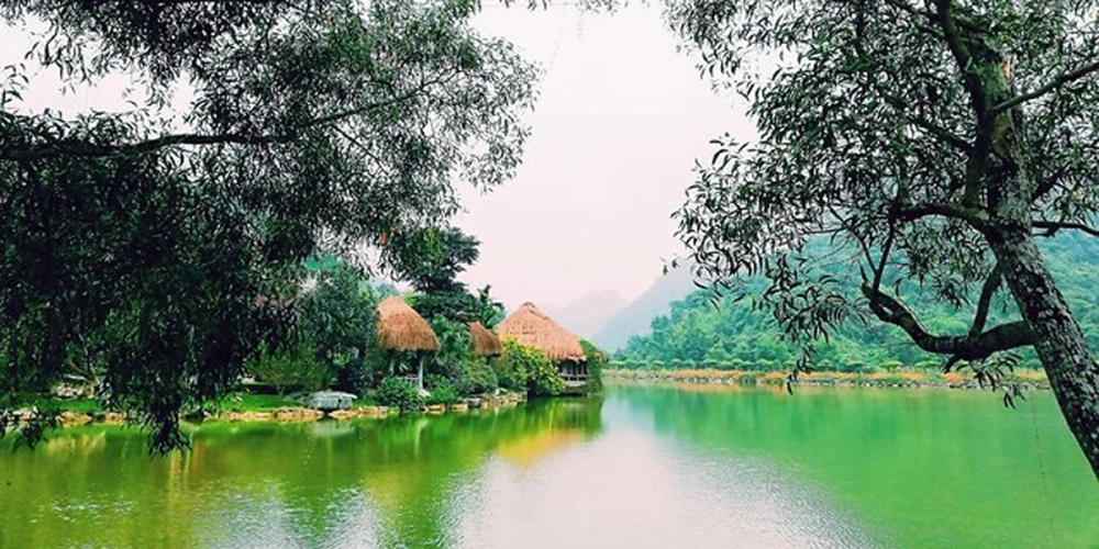Cập nhật mới hình ảnh vườn chim thung nham ninh bình