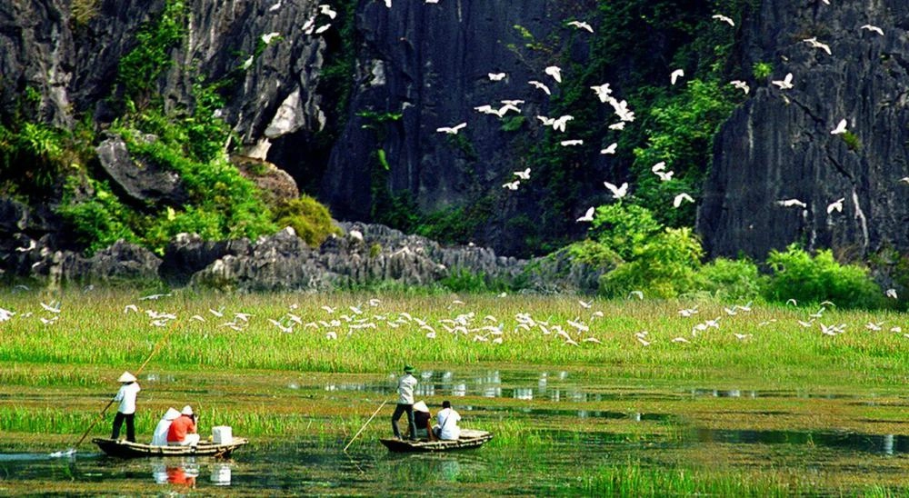 Đừng bỏ lỡ kinh nghiệm du lịch vườn chim thung nham