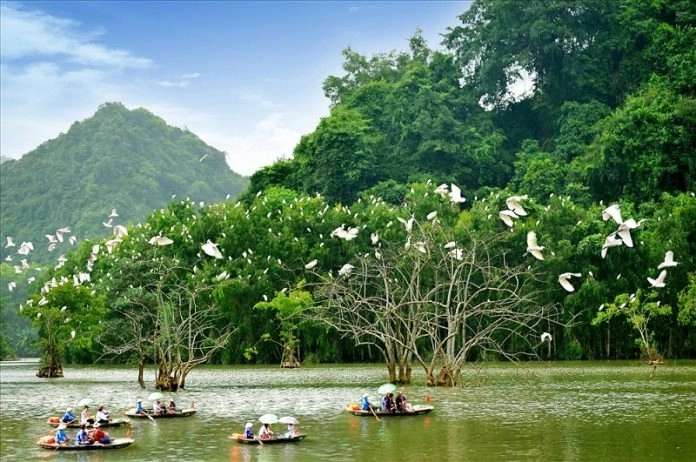 Thư giãn tại khu du lịch sinh thái vườn chim thung nham