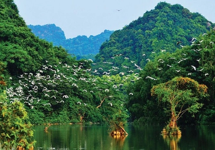 Chiêm ngưỡng thiên nhiên thung nham vườn chim tuyệt đẹp