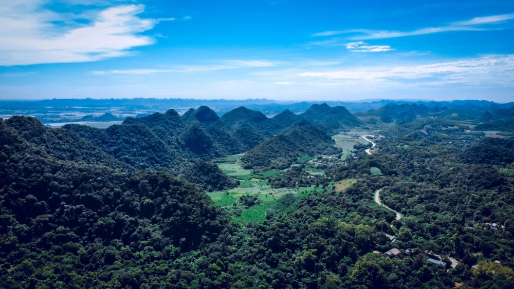 Tìm hiểu vườn quốc gia cúc phương thuộc loại rừng nào