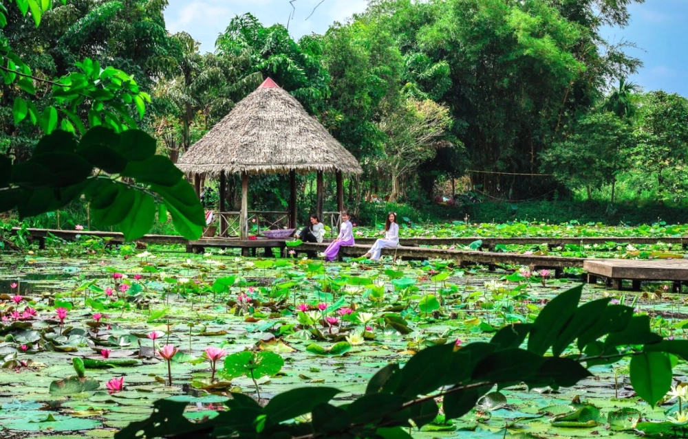 Tìm hiểu khu di tích xẻo quýt ở đâu dễ dàng