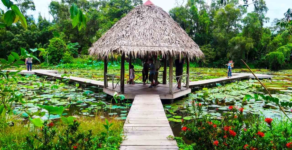 Chiêm ngưỡng hình ảnh khu di tích xẻo quýt đẹp
